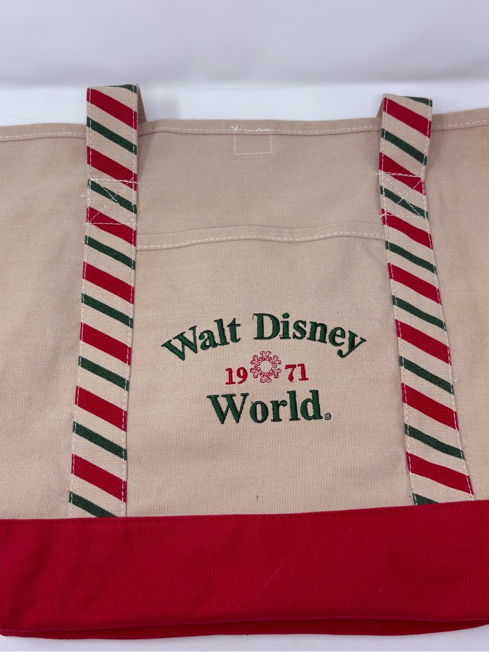 Disney World Tote Large Canvas